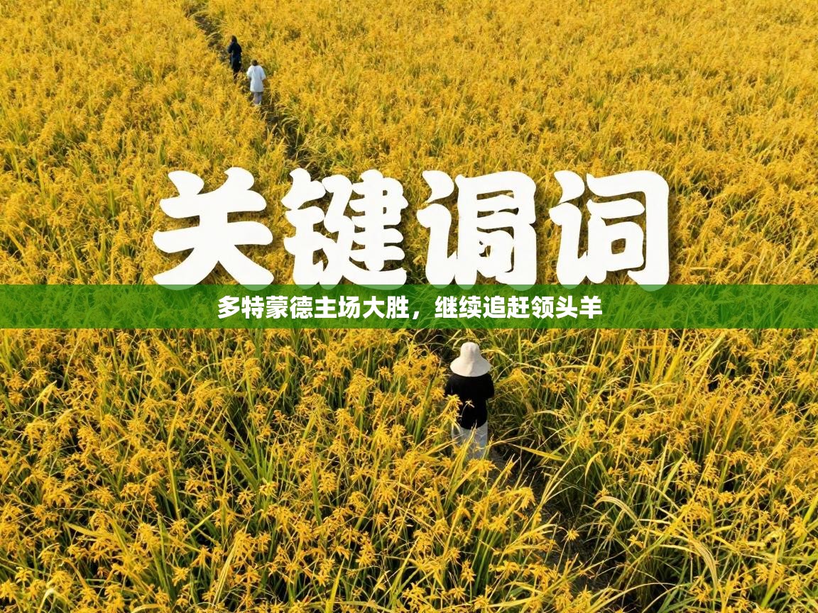 多特蒙德主场大胜,继续追赶领头羊 第1张