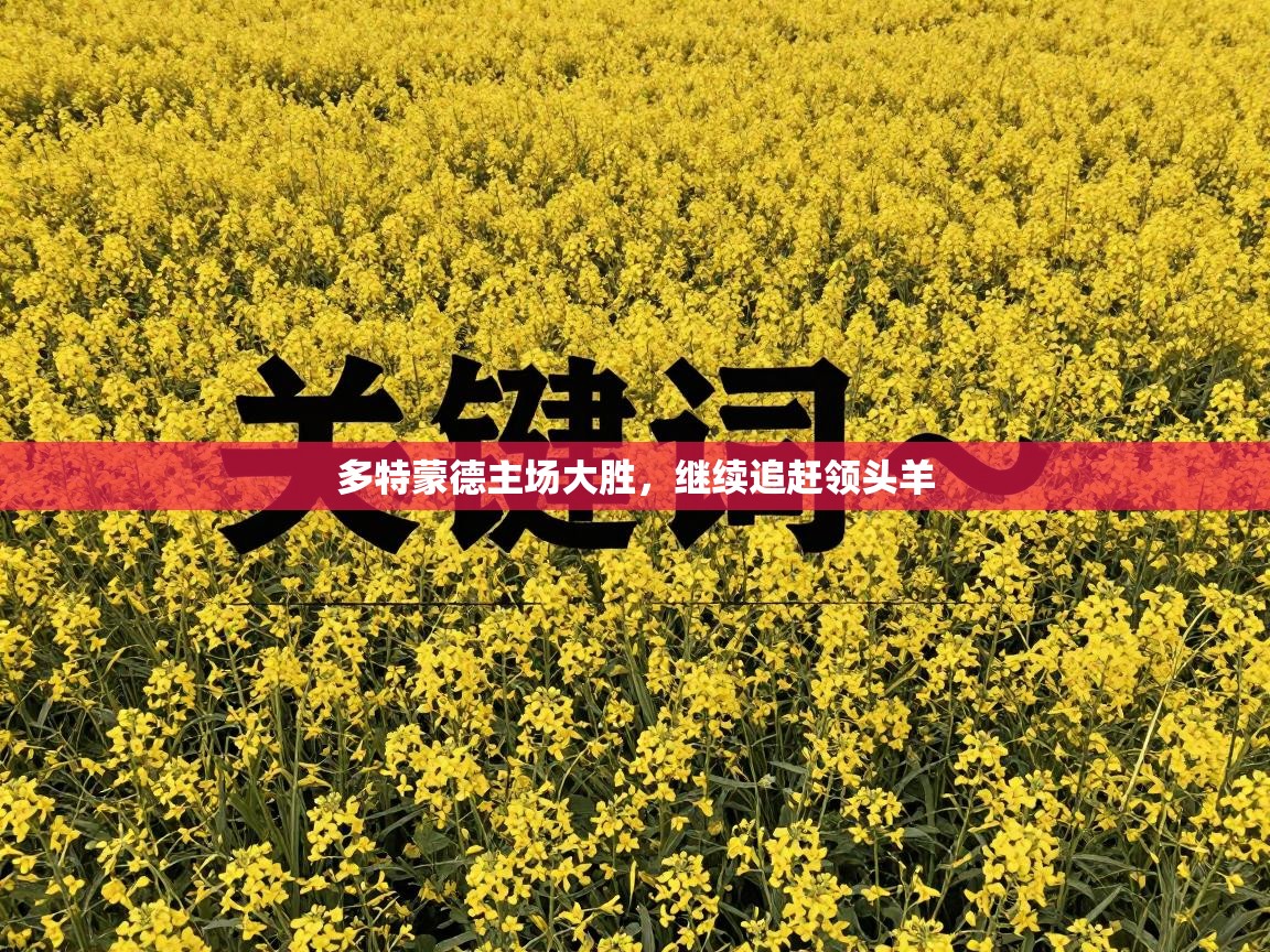 多特蒙德主场大胜,继续追赶领头羊 第2张