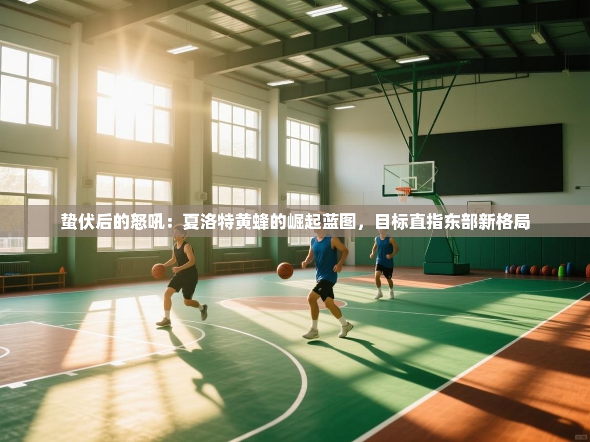 蛰伏后的怒吼:夏洛特黄蜂的崛起蓝图,目标直指东部新格局 第1张