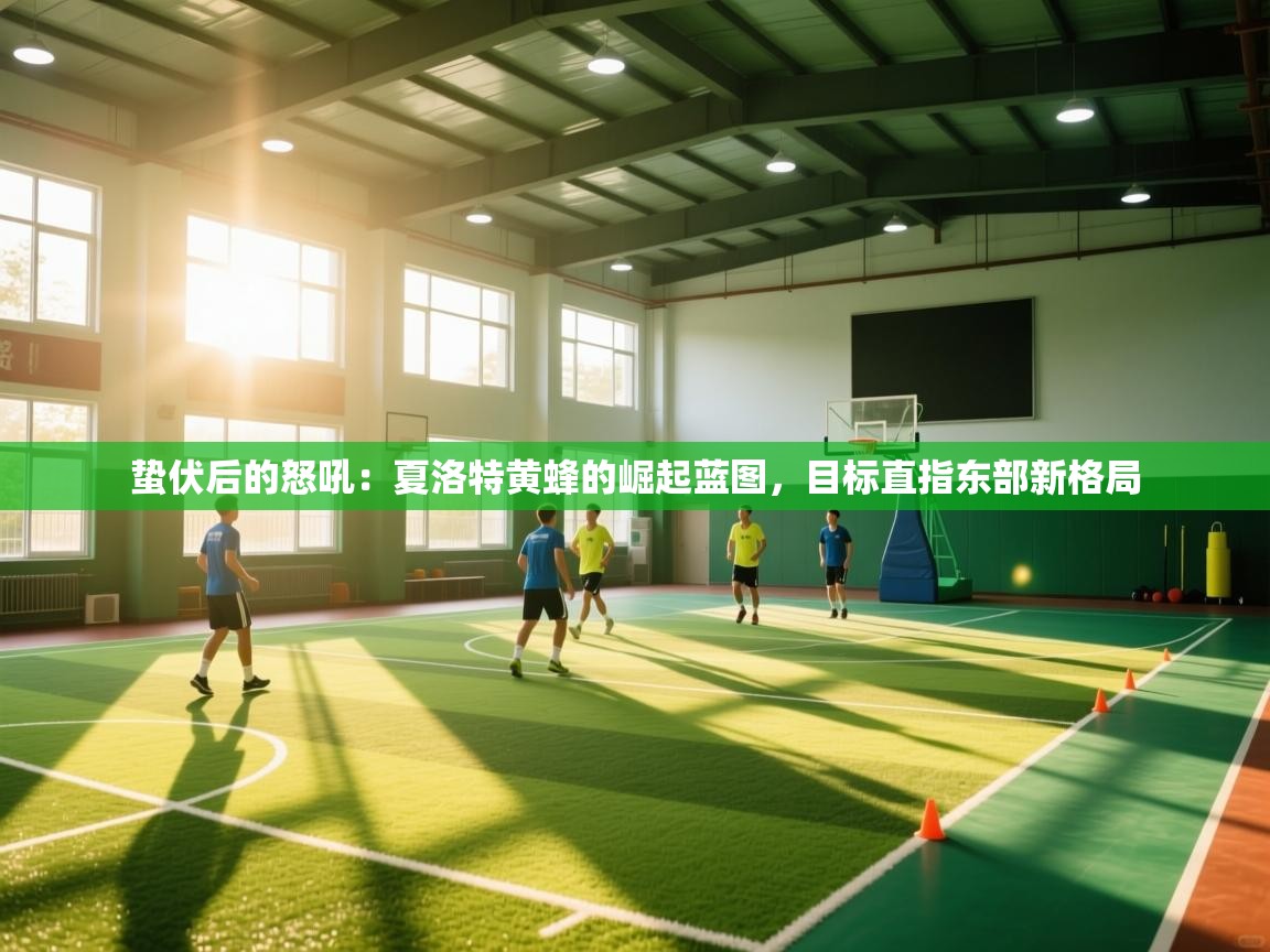 蛰伏后的怒吼:夏洛特黄蜂的崛起蓝图,目标直指东部新格局 第2张