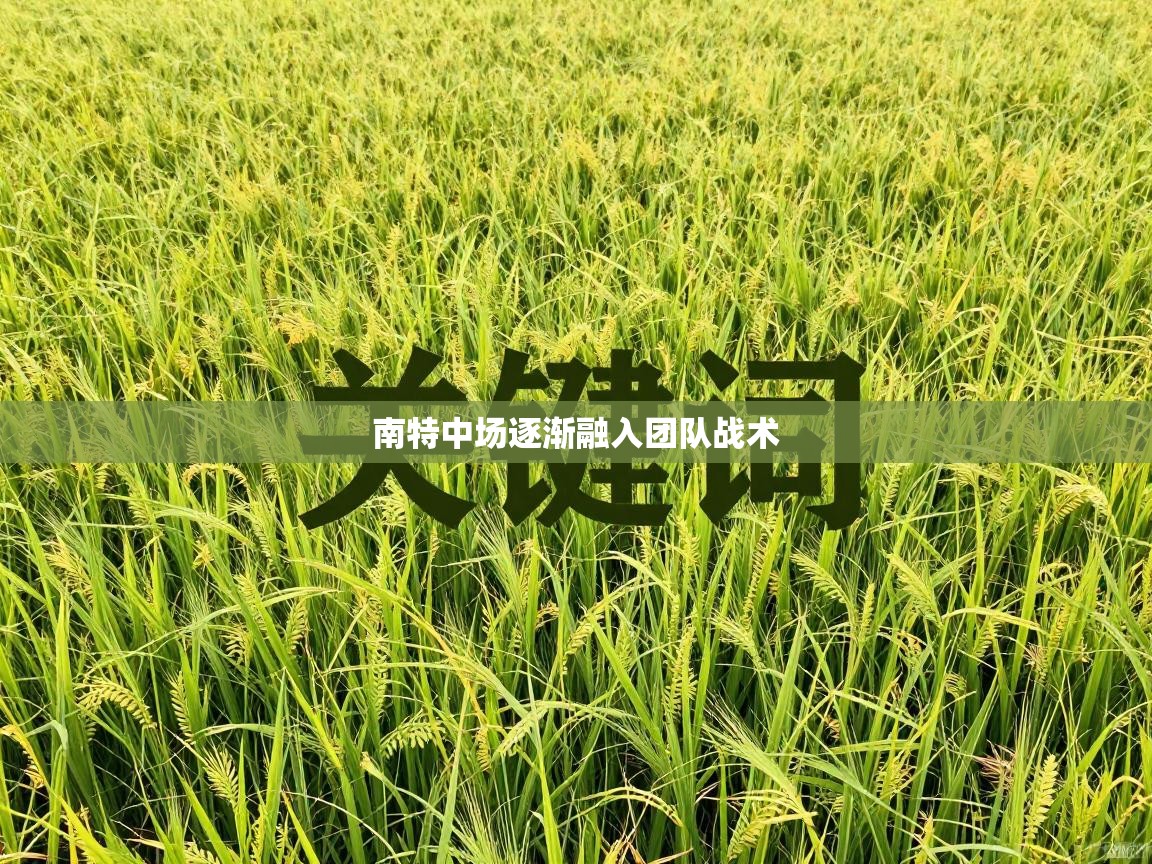 南特中场逐渐融入团队战术  第2张